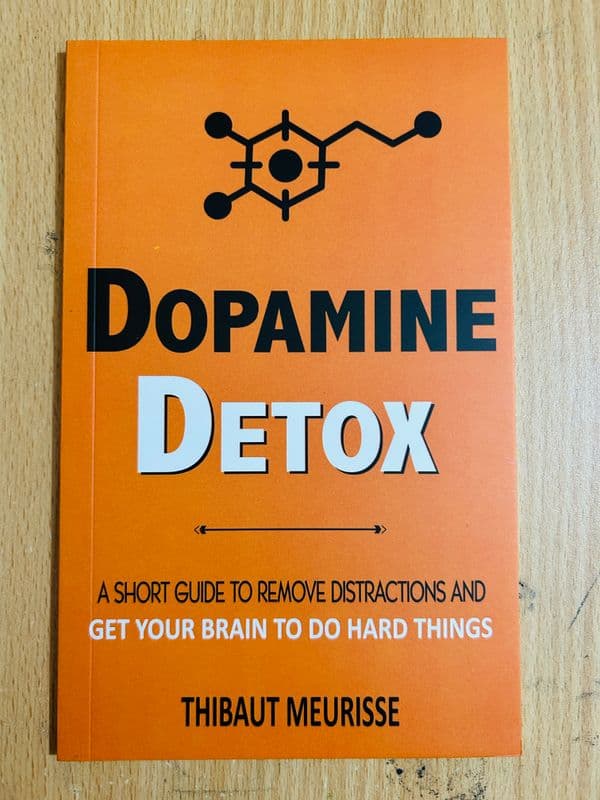 Dopamine Detox - Image 2